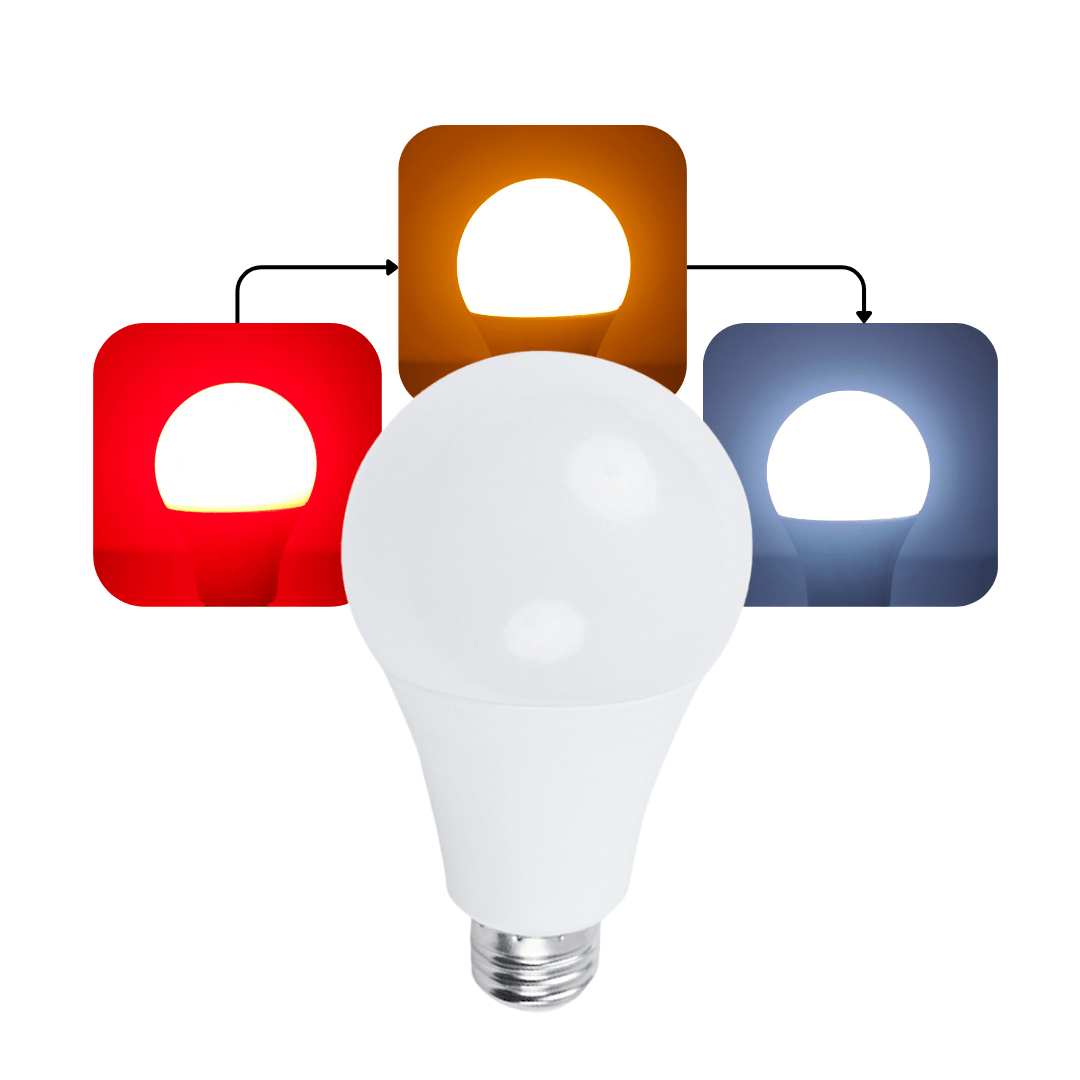 3 Kleuren Licht Lamp - Alinastore