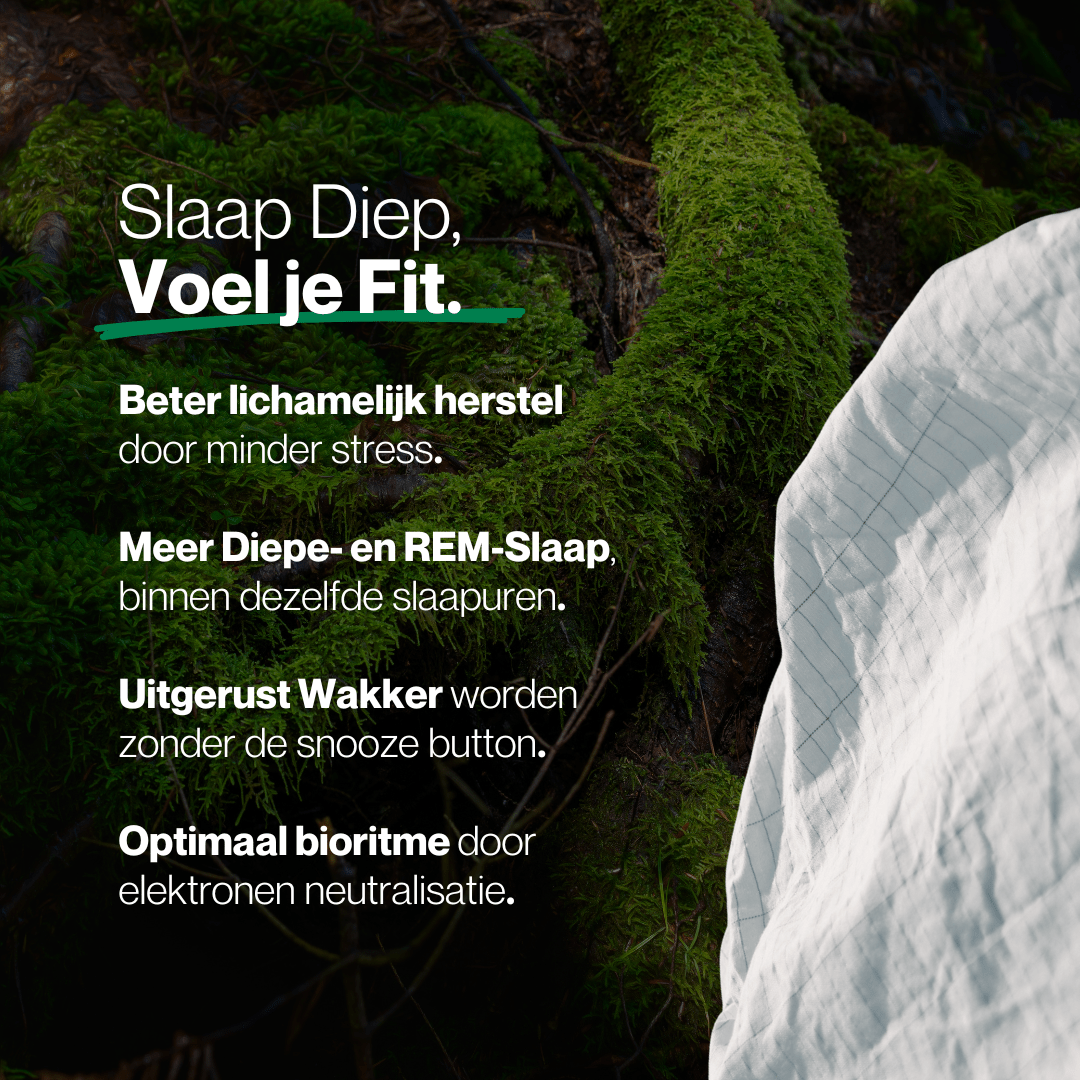 Aardingslaken - Alinastore