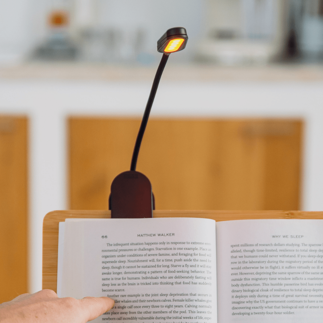 Lot Dark & Red - Alinastore