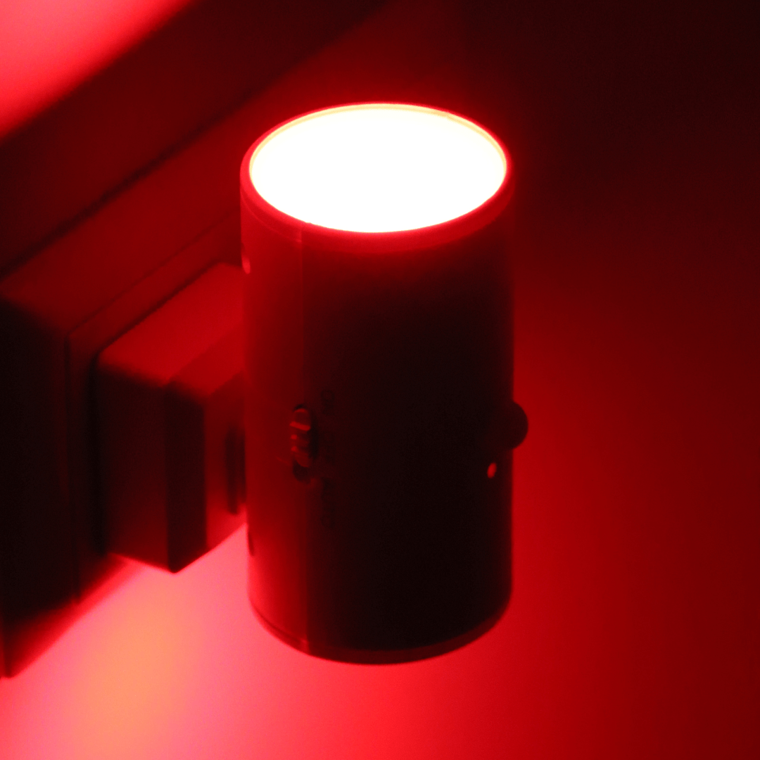 Red & Infrared Home Bundle