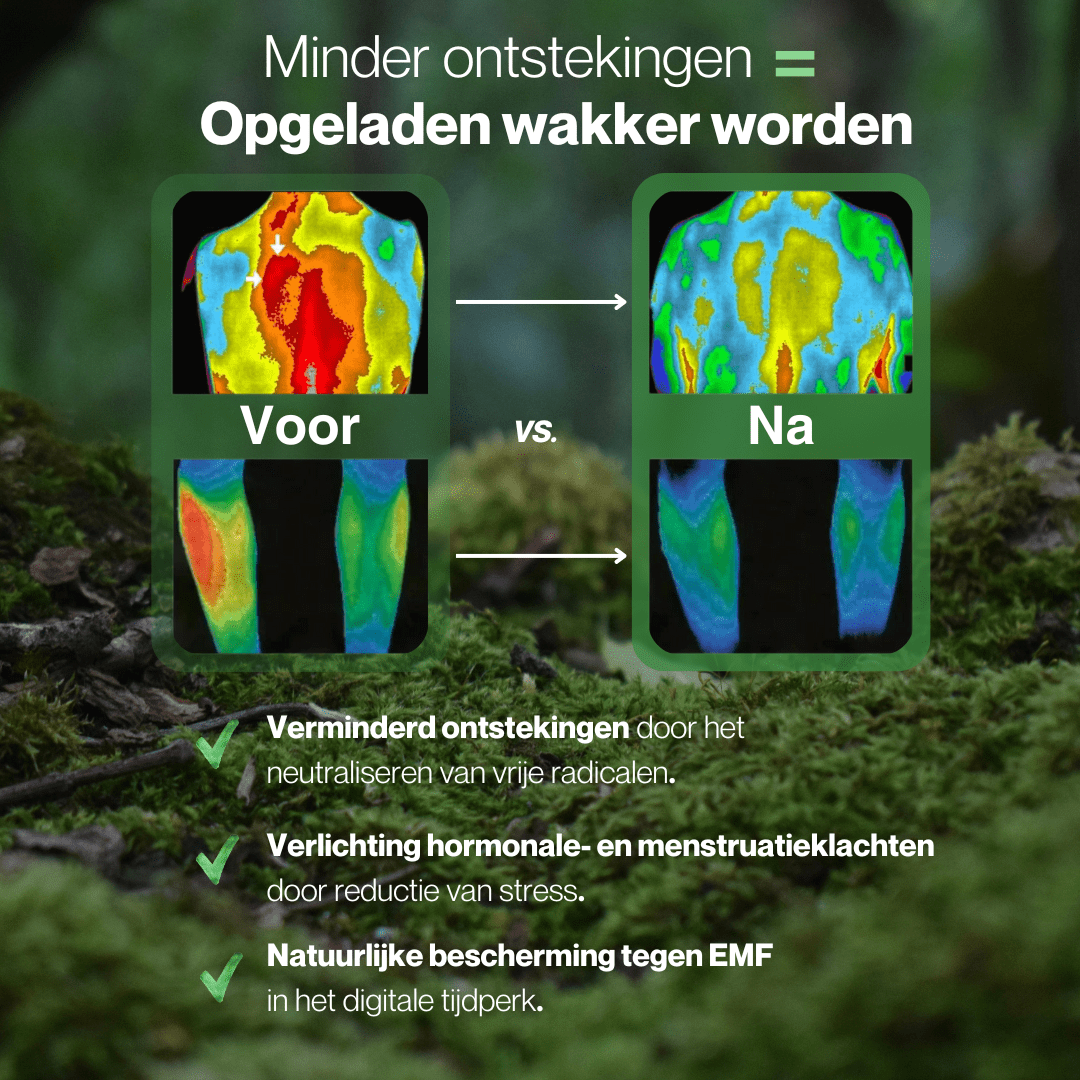 Aardingslaken - Alinastore